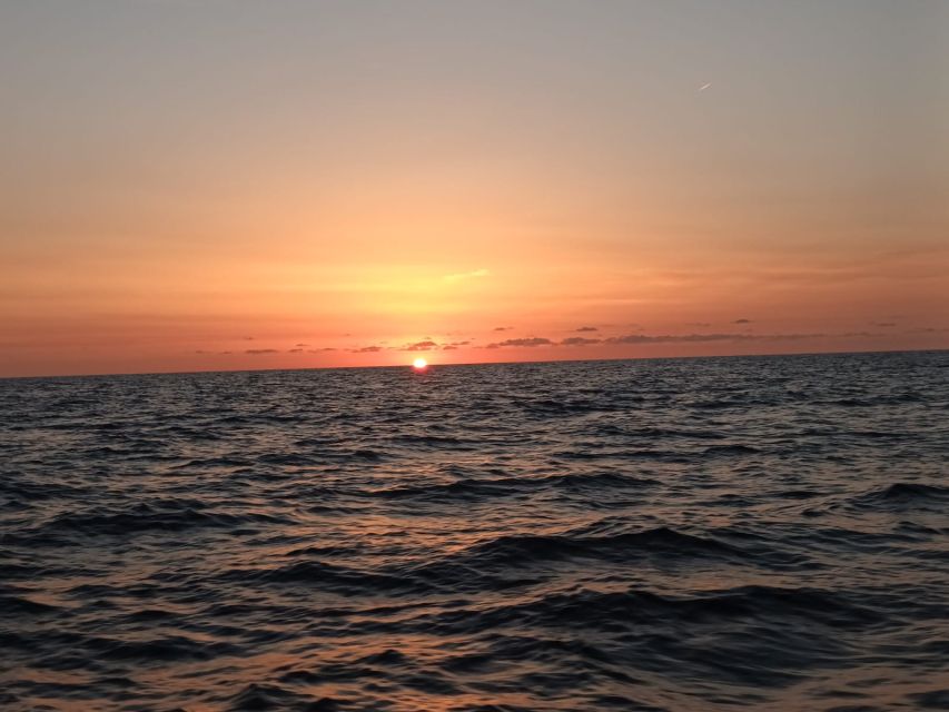 Can Picafort: Dolphin Watching Boat Tour, Swimming stop - What the fast boat ride feels like