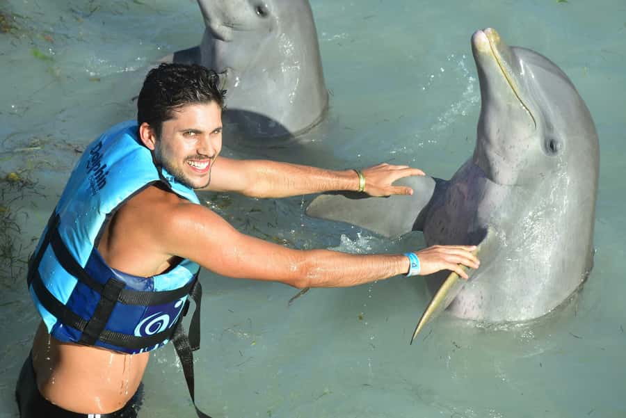 Cancun: Dolphin Encounter on Isla Mujeres and Garrafon Park - Key points at a glance