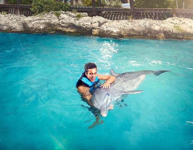 Cancún: Dolphin Encounter on Isla Mujeres with Buffet - Leaving Playa Langosta at 9:00 AM
