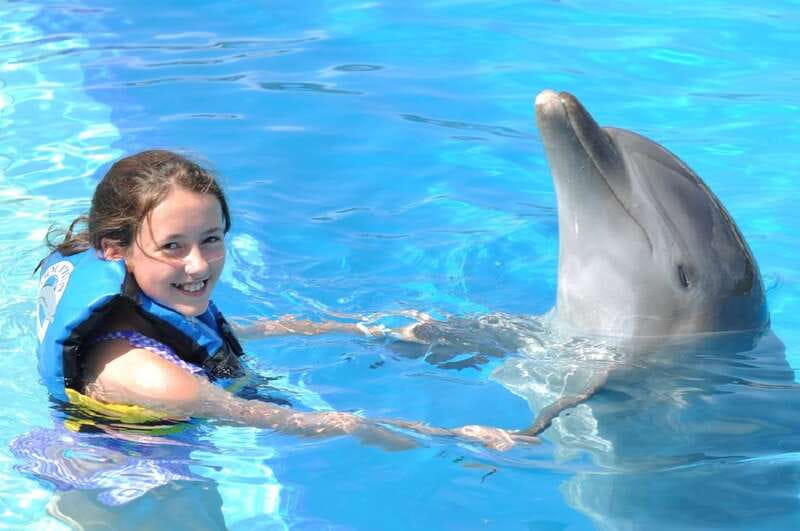 Cancún: Dolphin Encounter on Isla Mujeres with Buffet - The photo decision you need to make early