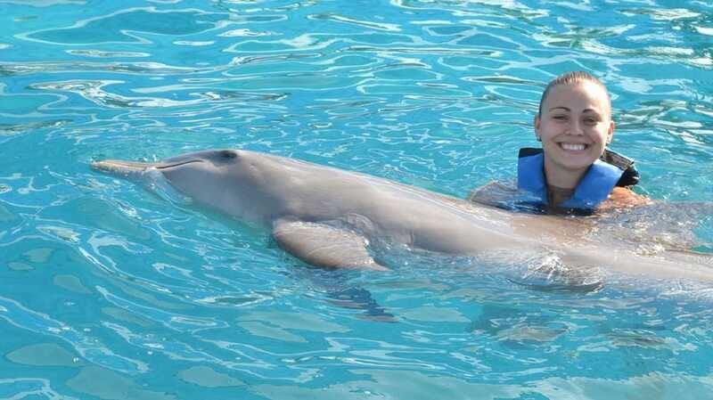 Cancún: Dolphin Encounter on Isla Mujeres with Buffet - Buffet lunch, pools, and the long afternoon