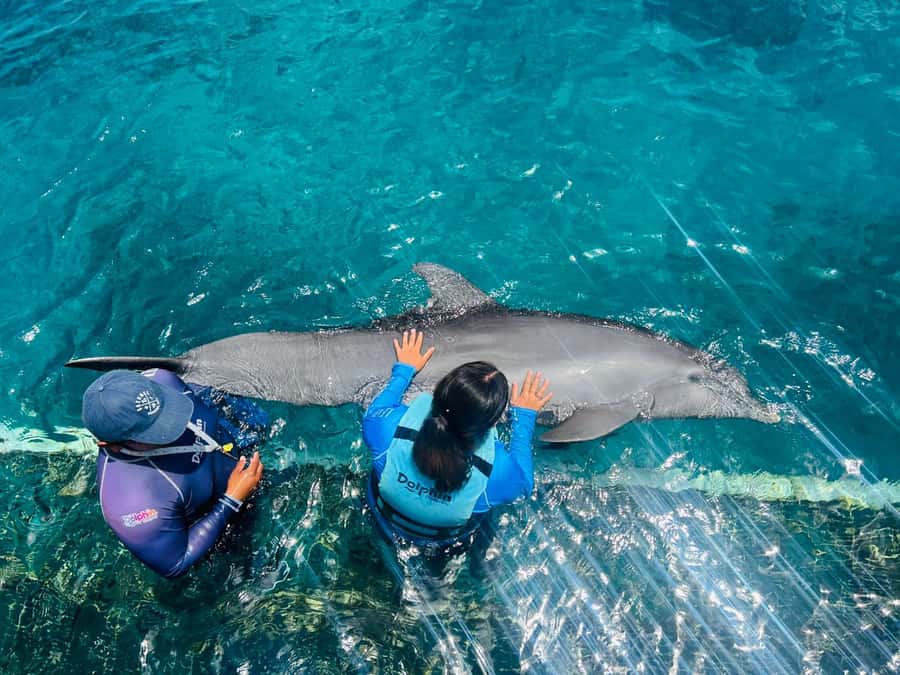 CANCUN: Dolphin Swim Adventure with buffet and soft drinks - Lunch, soft drinks, and the buffet question