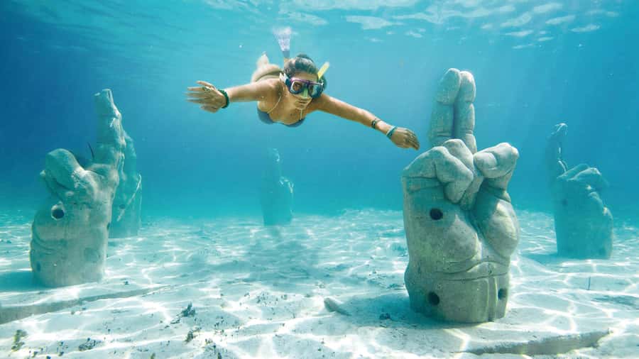 CANCUN: Dolphin Swim Adventure with buffet and soft drinks - What happens during the water session