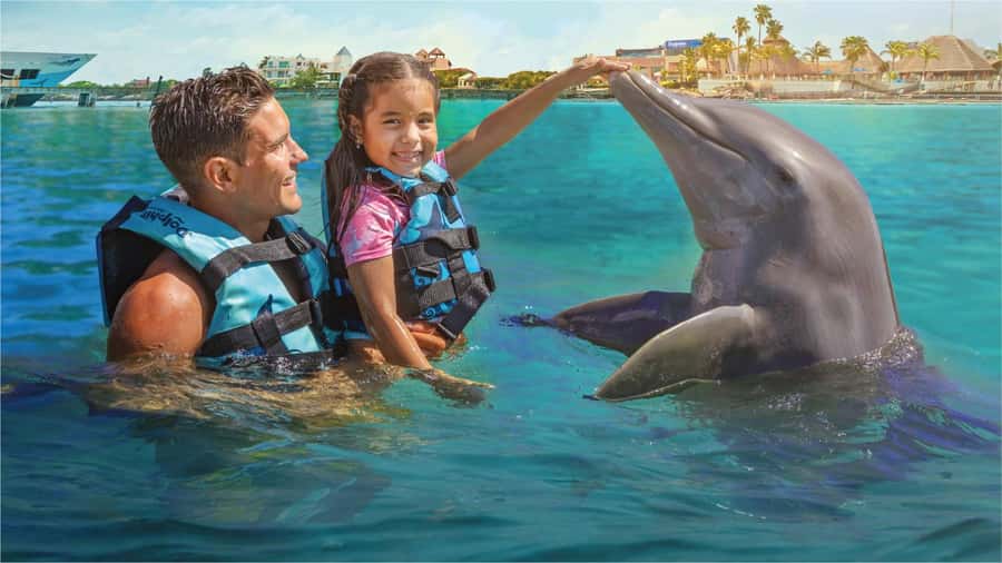 Cancun: Dolphin Swim and Garrafon Reef Park Tour with Buffet - Key things to know before booking