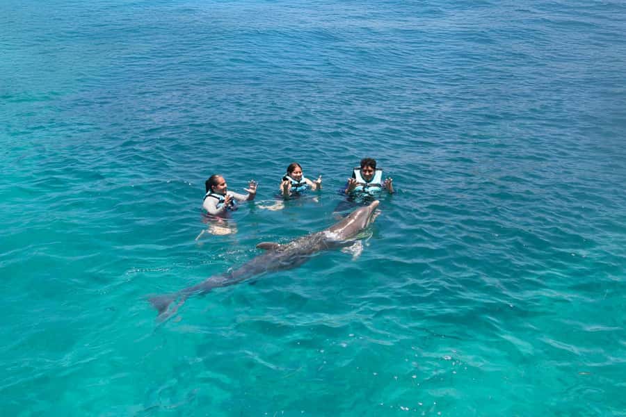 Cancun: Dolphin Swim and Garrafon Reef Park Tour with Buffet - Buffet lunch and the open bar