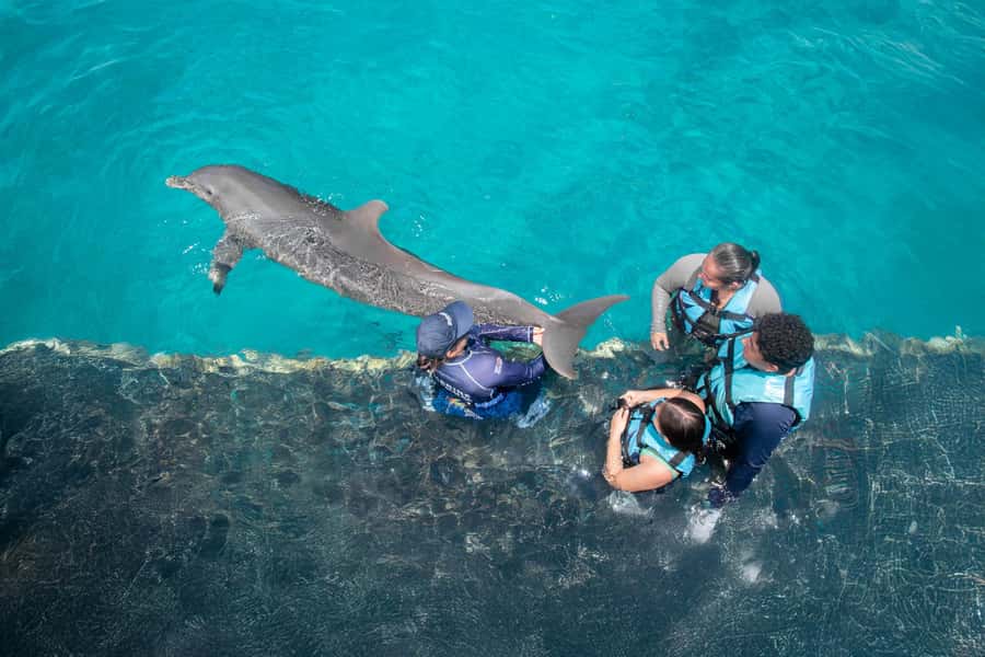 Cancun: Dolphin Swim and Garrafon Reef Park Tour with Buffet - What to pack and what to leave behind