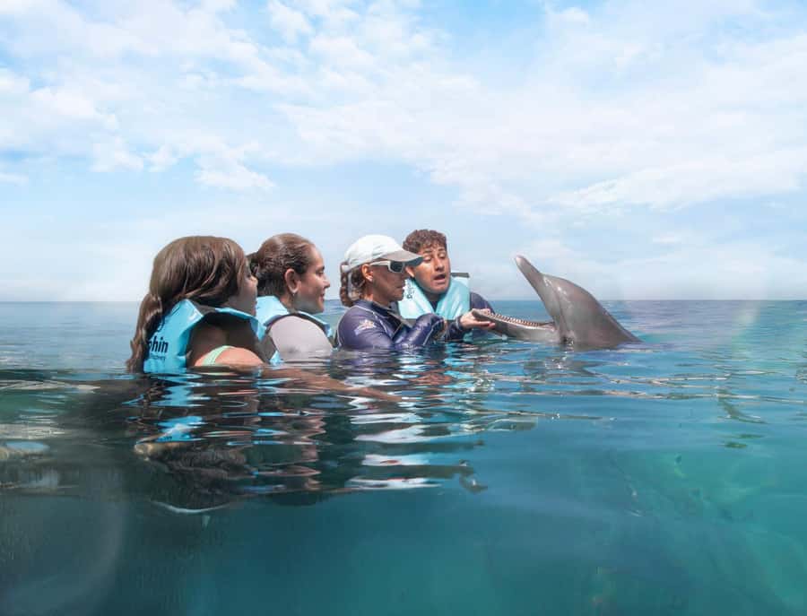 Cancun: Dolphin Swim and Garrafon Reef Park Tour with Buffet - Who will enjoy this day most