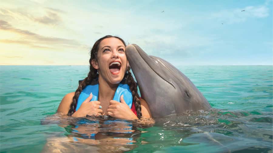 Cancun: Dolphin Swim and Garrafon Reef Park Tour with Buffet - What the 50-minute dolphin swim includes