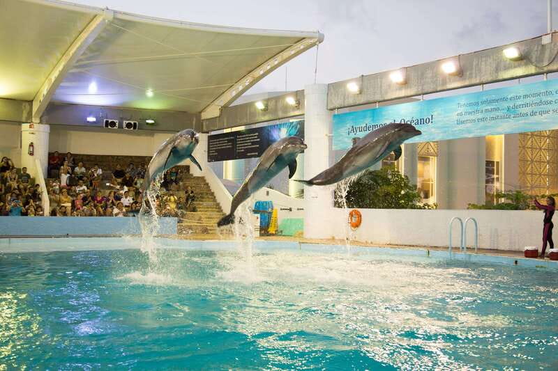 Cancún Interactive Aquarium Admission + Dolphin Presentation - Starting at Plaza La Isla in Cancún