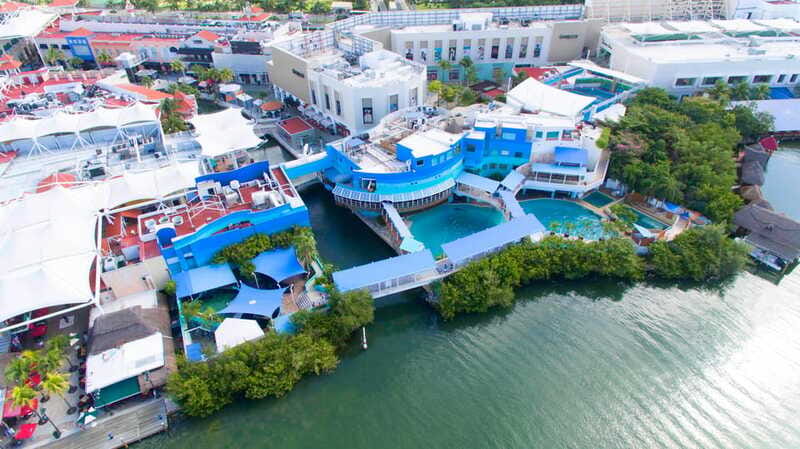 Cancún Interactive Aquarium Admission + Dolphin Presentation - Saving the 7 pm dolphin presentation