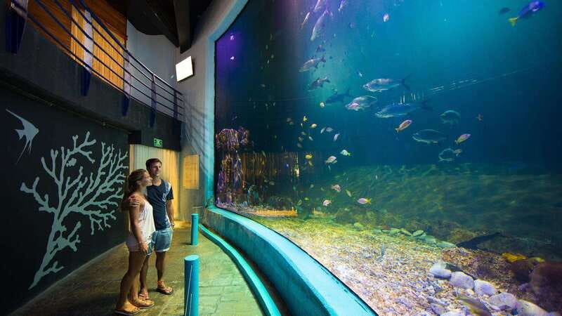Cancún Interactive Aquarium Admission + Dolphin Presentation - Touching rays, starfish, and sea urchins