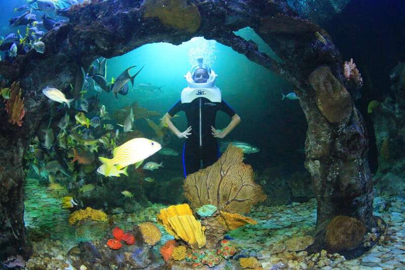 Cancun: Interactive Aquarium - Swim with dolphins Premium - What to bring, and what must stay behind