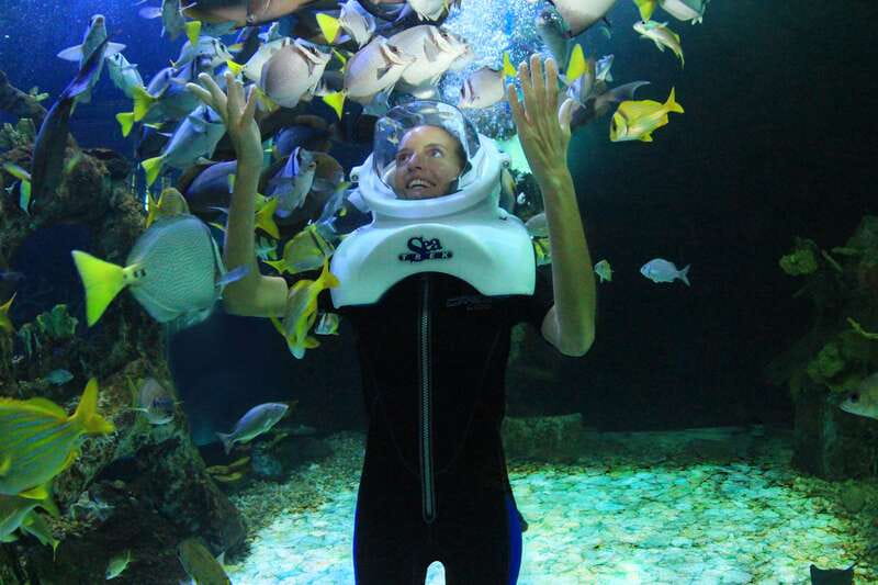 Cancun: Interactive Aquarium - Swim with dolphins Premium - Is $185 per person good value?