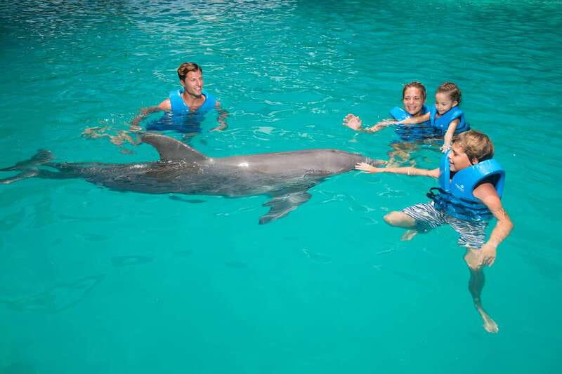 Cancun: Interactive Aquarium - Swim with dolphins Premium - Should you book the Cancun dolphin Premium experience?