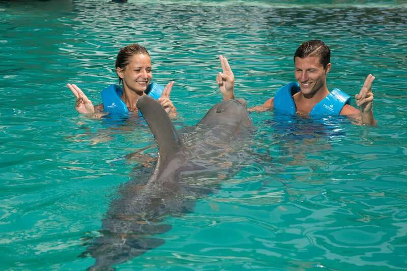 Cancun: Interactive Aquarium - Swim with dolphins Premium - Aquarium Trek: an underwater walk without swimming