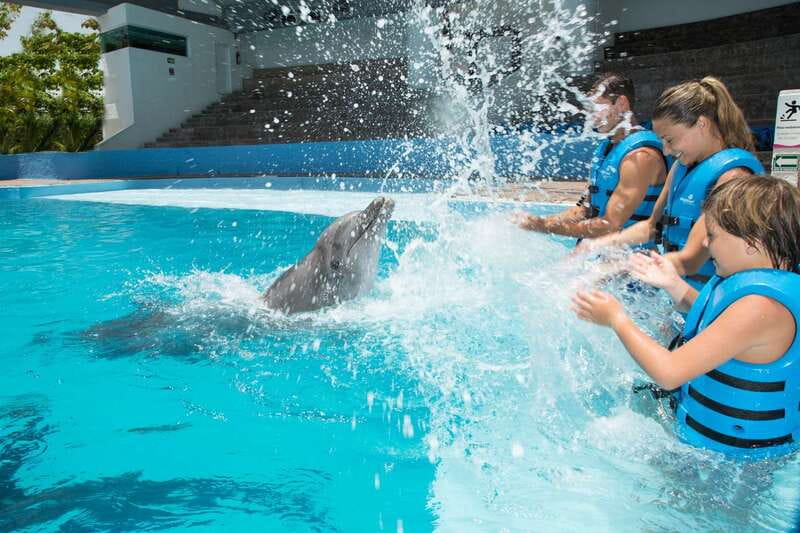 Cancun: Interactive Aquarium - Swim with Dolphins Splash - Key points to know before you book