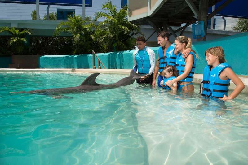 Cancun: Interactive Aquarium - Swim with Dolphins Splash - Why the short education talk matters