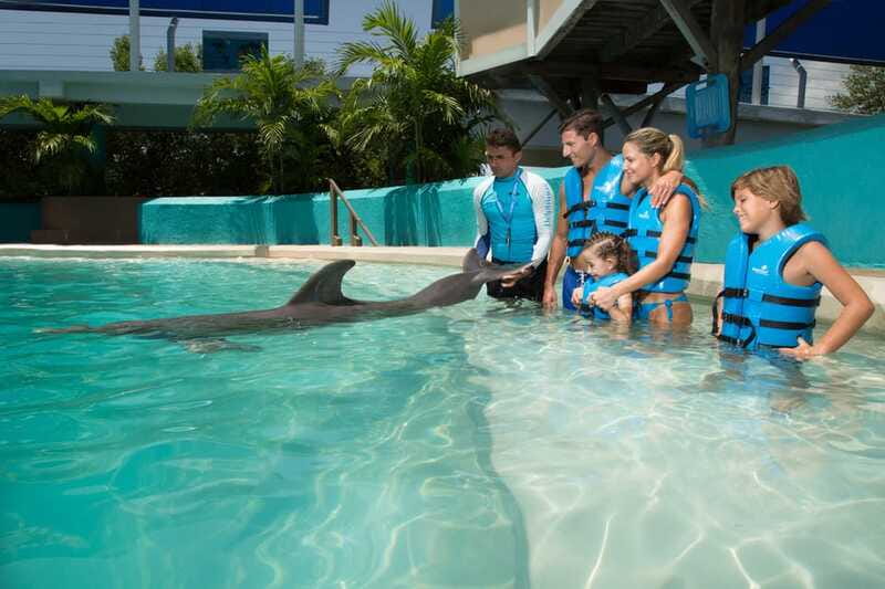 Cancun: Interactive Aquarium - Swim with Dolphins Splash - Is $127 a fair price?