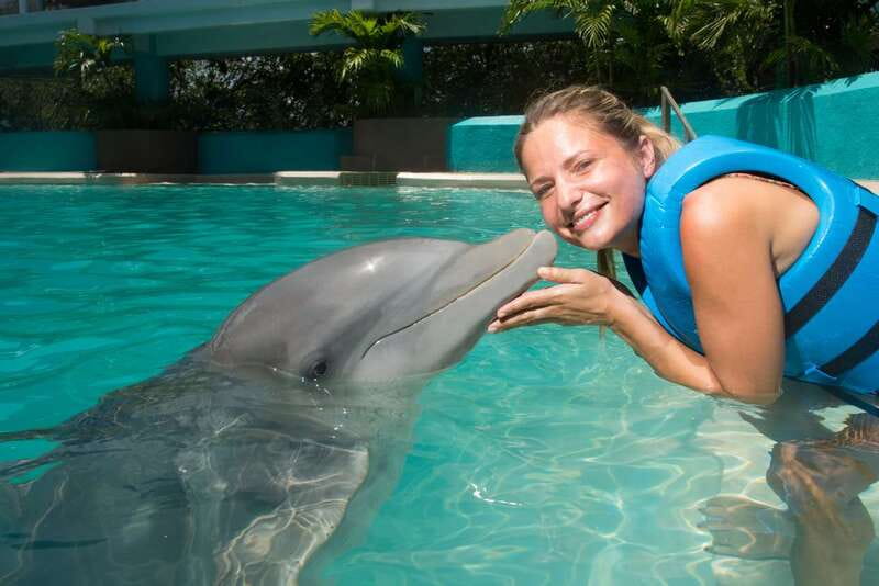Cancun: Interactive Aquarium - Swim with Dolphins Splash - What happens during the 35-minute program