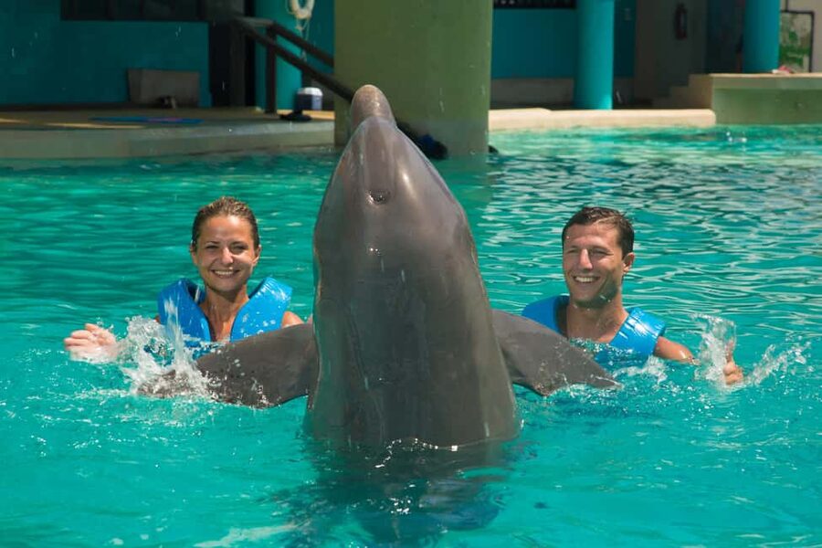 Cancun: Interactive Aquarium Ticket and Swim with Dolphins - What the Cancun dolphin session is really like