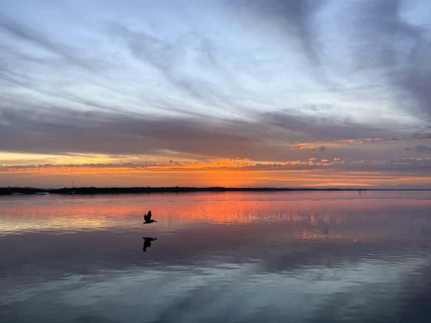 Cape Coral: Private Dolphin and Sunset Cruise - What $679 Means for Your Group