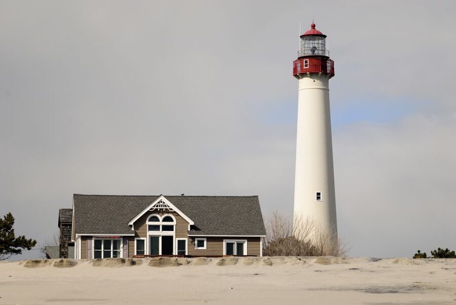 Cape May: 2-Hour Dolphin Watching Cruise - Key points to know before you board