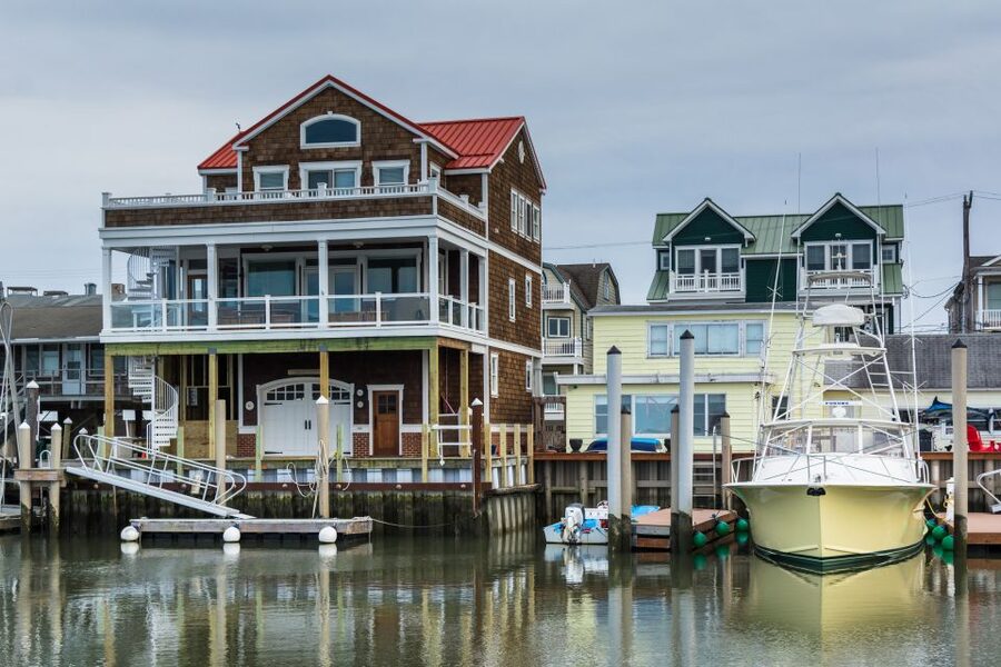 Cape May: 2-Hour Dolphin Watching Cruise - Is $36 a fair price?