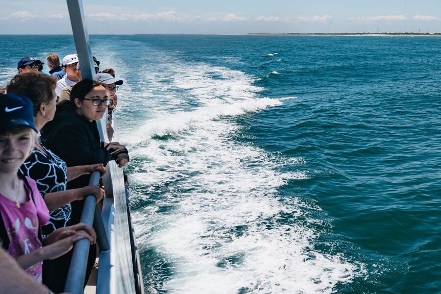 Cape May: Jersey Shore Whale and Dolphin Watching Cruise - What you may see on the water