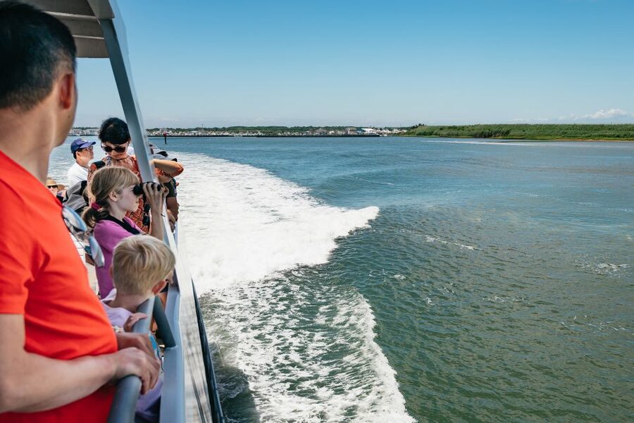 Cape May: Jersey Shore Whale and Dolphin Watching Cruise - Is $55 a fair price?