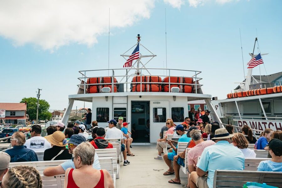 Cape May: Jersey Shore Whale and Dolphin Watching Cruise - Who will enjoy this cruise most?
