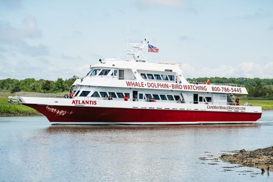 Cape May: Jersey Shore Whale and Dolphin Watching Cruise - Smart ways to prepare