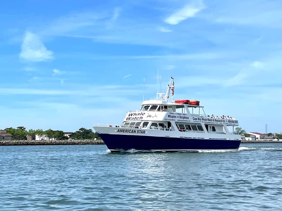 Cape May: Scenic Whale and Dolphin Watching Cruise - Key points to know before you sail