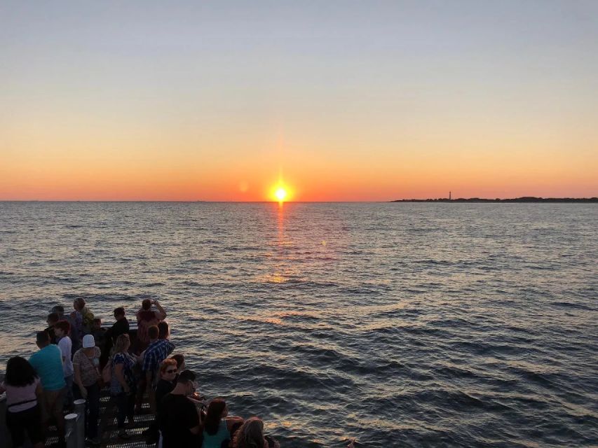 Cape May: Sunset Dolphin Cruise with Optional Wine Tastings - Watching for Atlantic Bottlenose Dolphins