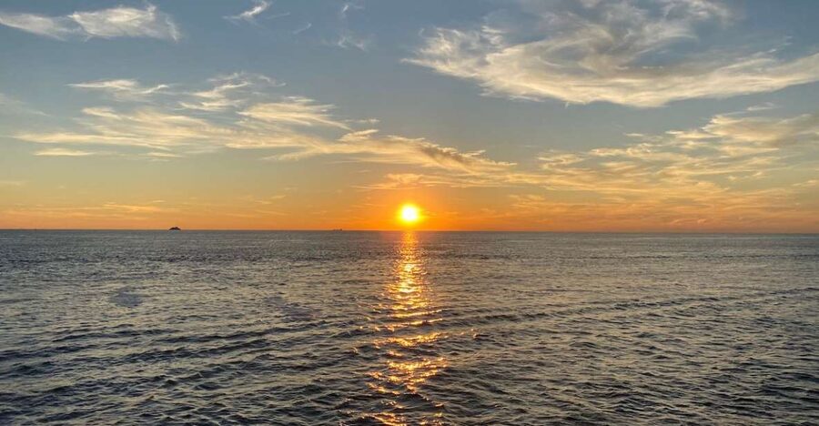 Cape May: Sunset Dolphin Watching Cruise with Food - Birds, boats, and the changing evening light