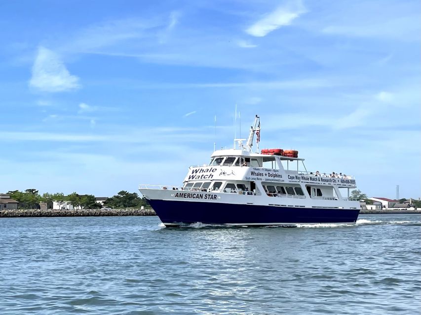 Cape May: Sunset Dolphin Watching Cruise with Food - How the boat ride feels