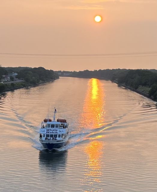 Cape May: Sunset Dolphin Watching Cruise with Food - Cape May Island from the water