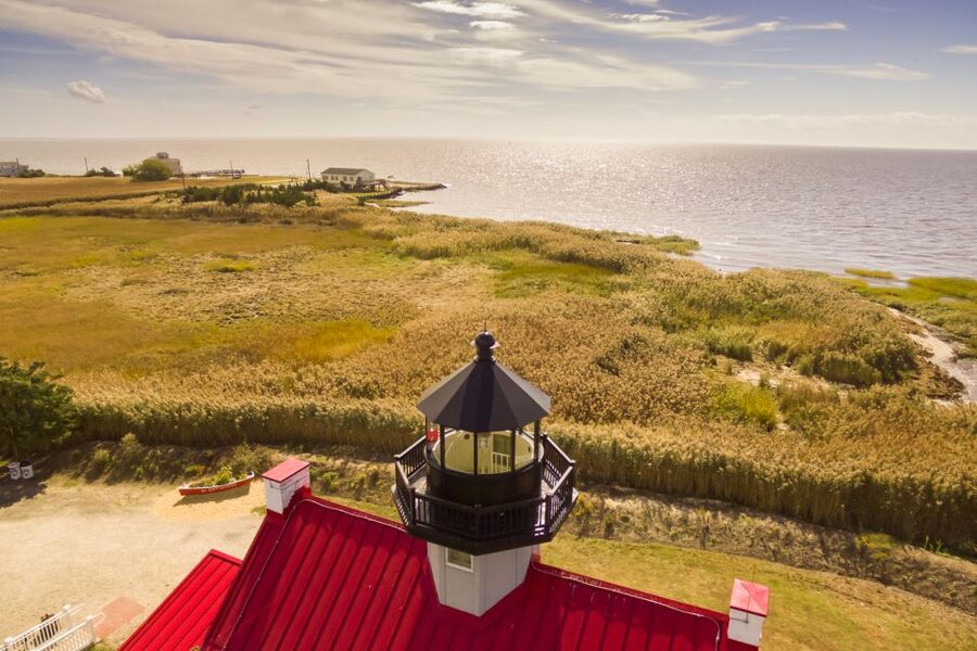 Cape May: Weekend Whale and Dolphin Watching Cruise - Key points at a glance