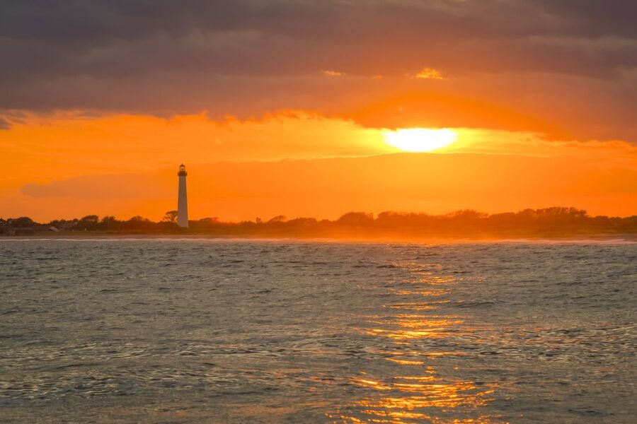 Cape May: Weekend Whale and Dolphin Watching Cruise - Following the Cape May shoreline