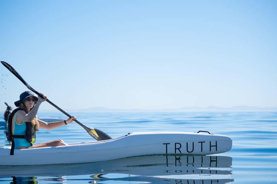 Cape Town: Dolphin & Ocean Wildlife Kayaking Adventure ⚓️ - Key points to know