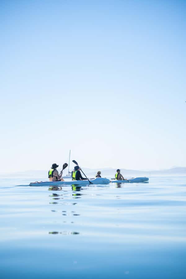 Cape Town: Dolphin & Ocean Wildlife Kayaking Adventure ⚓️ - Should you book Truth Kayaking?