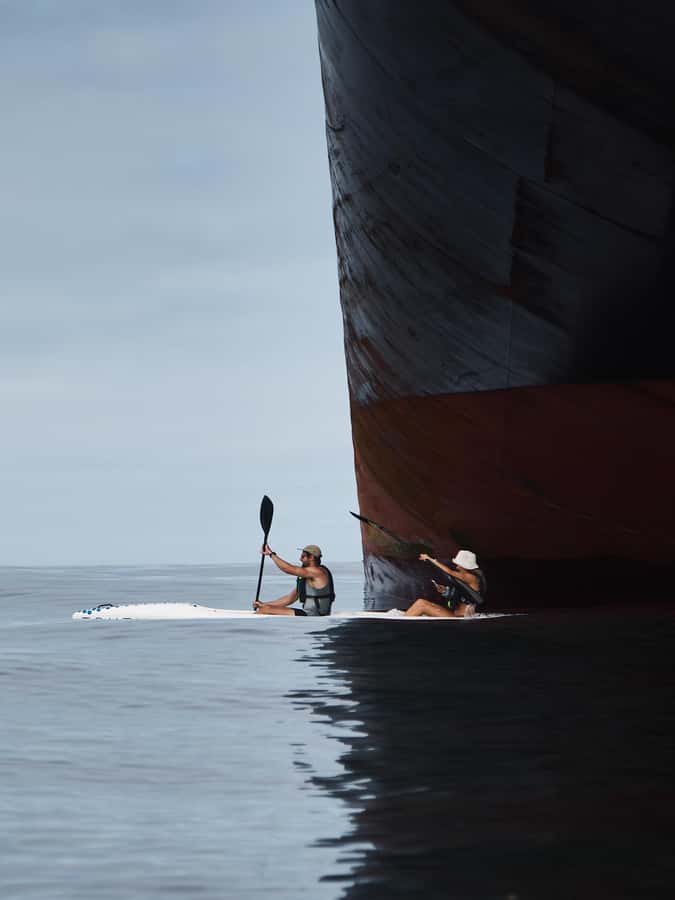 Cape Town: Dolphin & Ocean Wildlife Kayaking Adventure ⚓️ - The return to Truth’s garden