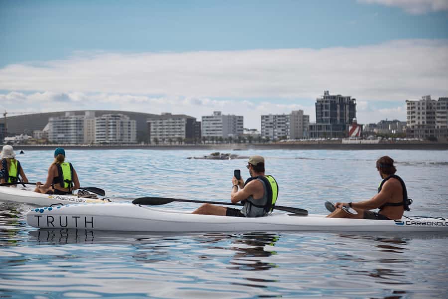 Cape Town: Dolphin & Ocean Wildlife Kayaking Adventure ⚓️ - Who will enjoy this most?
