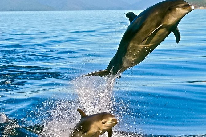 Captain Cook and Dolphin Cruise - Leaving Picton for Queen Charlotte Sound