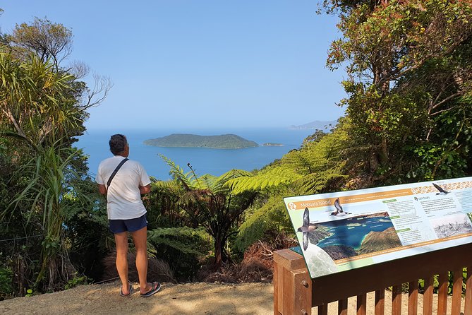 Captain Cook and Dolphin Cruise - Ship Cove and Captain Cook’s story