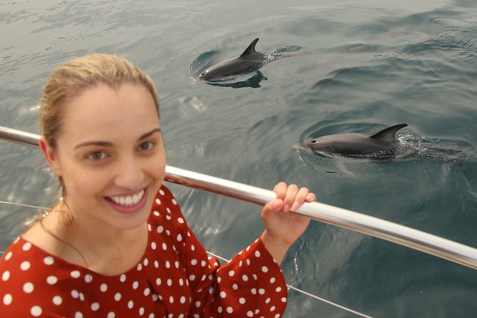 Captain Cook and Dolphin Cruise - What the live commentary adds