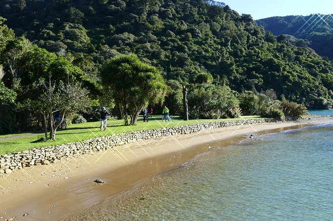 Captain Cook and Dolphin Cruise - Weather, comfort, and who should book