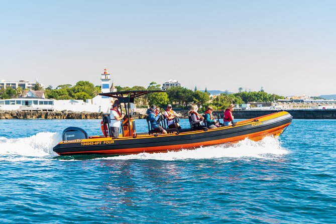 Cascais coast: Dolphin watching - Key points at a glance