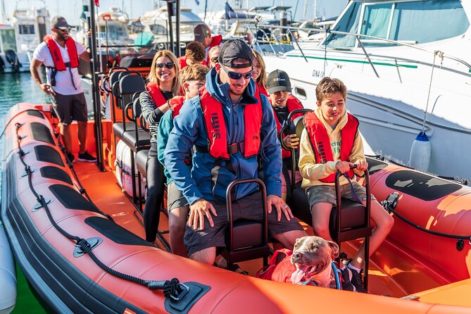 Cascais coast: Dolphin watching - Price and value at $78.02