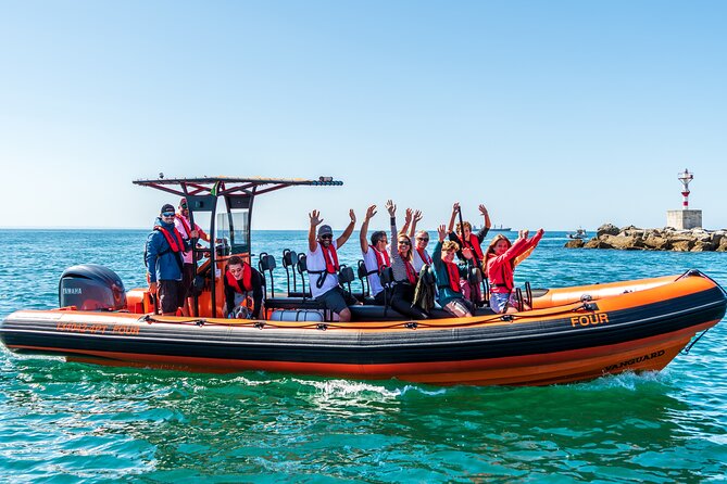 Cascais coast: Dolphin watching - Timing your booking in Cascais