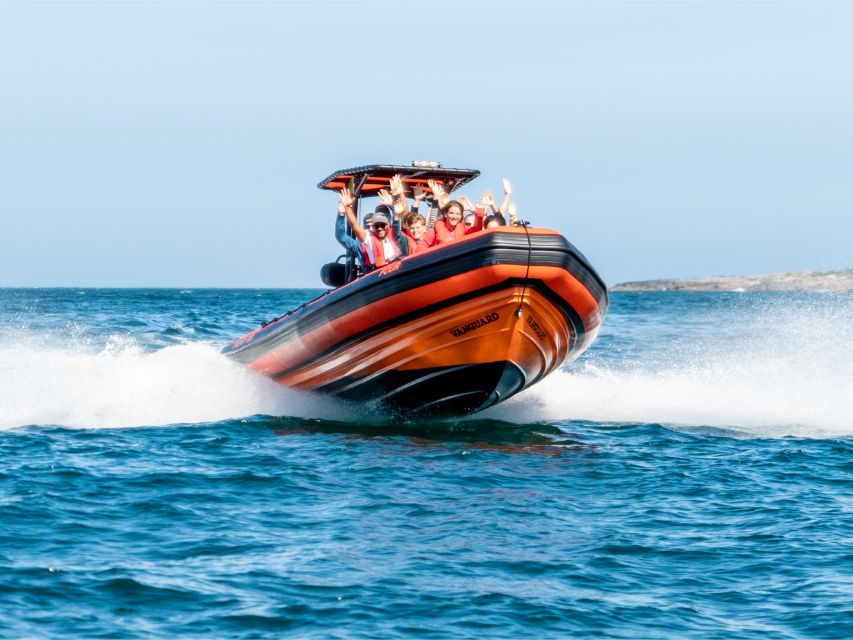 Cascais: Dolphin Watching Tour - A Crew Focused on Safe, Respectful Viewing